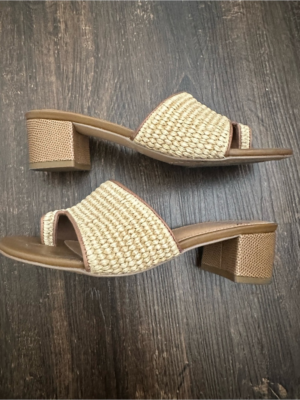 Donald J. Pliner Woven Slide Mules in Tan